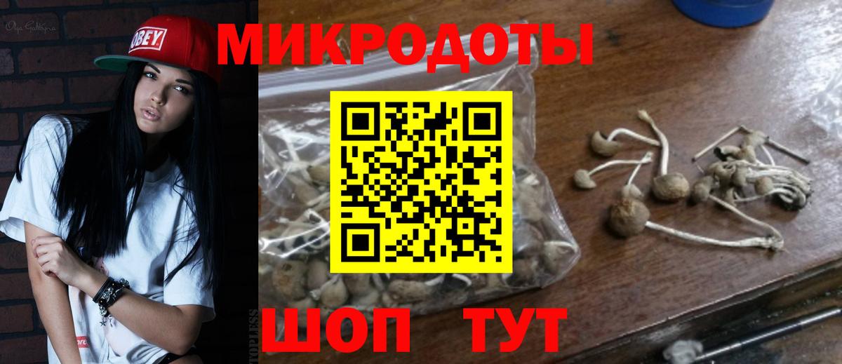Нововоронеж  Галлюциногенные грибы GOLDEN TEACHER  Вход с VPN 