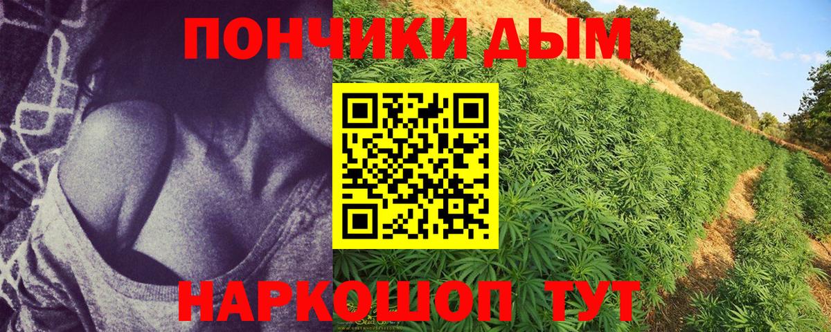 Конопля план  Вход с VPN  Нововоронеж  Бошки марихуана план  Марихуана OG Kush 